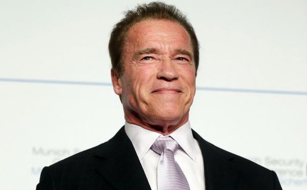 ARNOLD SCHWARZENEGGER IN A DIFFERENT ROLE