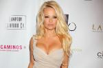 Pam Anderson Scores $1 Mil after settlement for Divorce with Rick Salomon